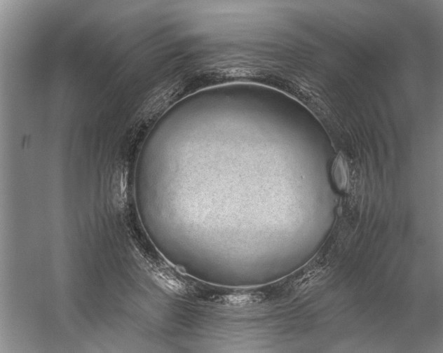 X0000060260406200510281211