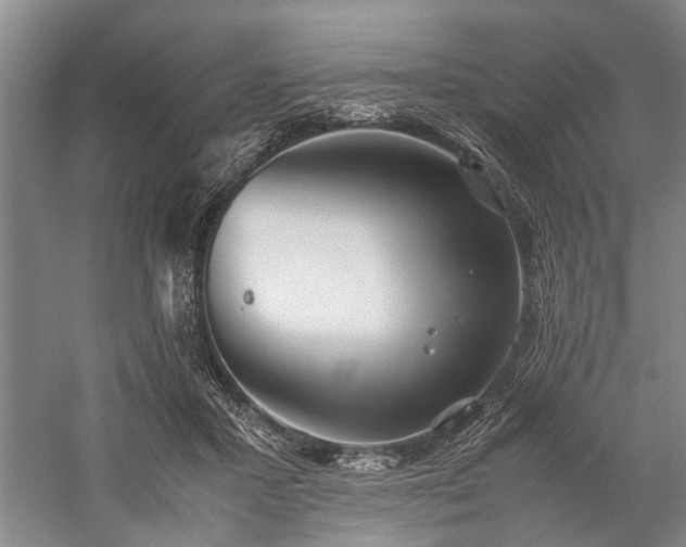 X0000060260407200510281211