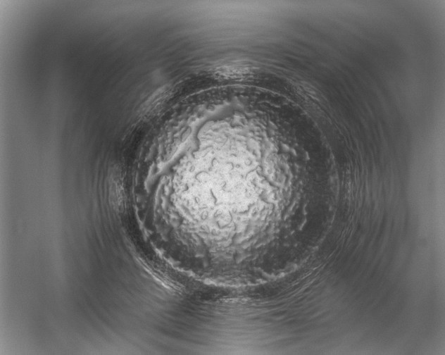 X0000060260408200510281211