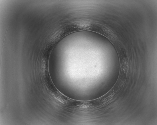 X0000060260412200510281210