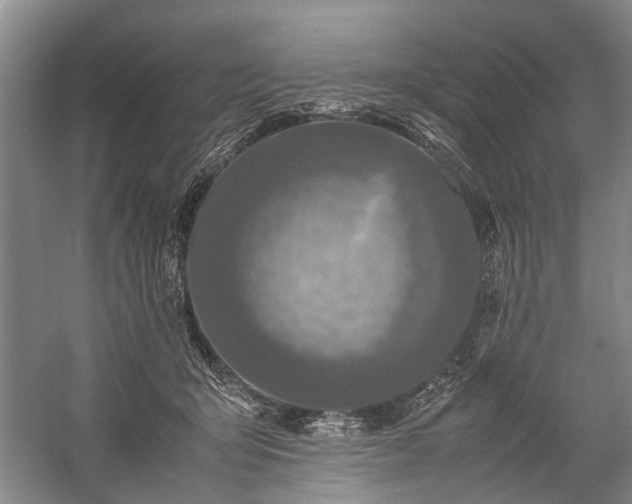 X0000060260415200510281210