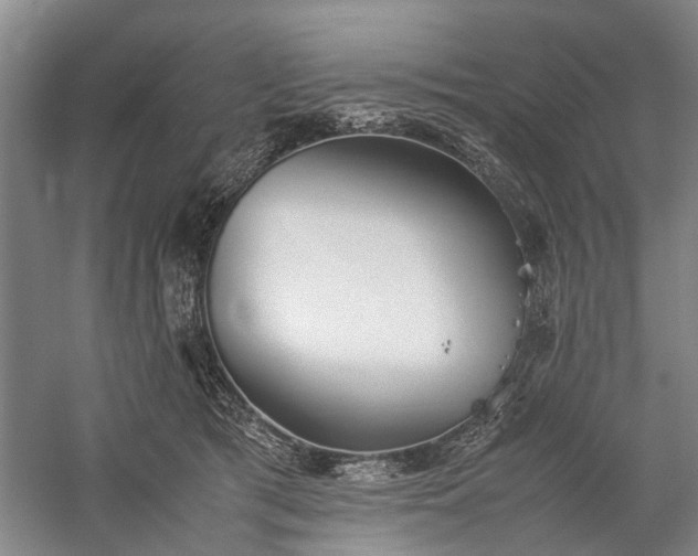 X0000060260417200510281210