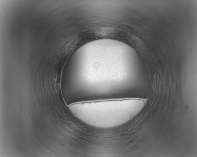 X0000060260420200510281210