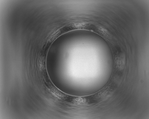 X0000060260421200510281210