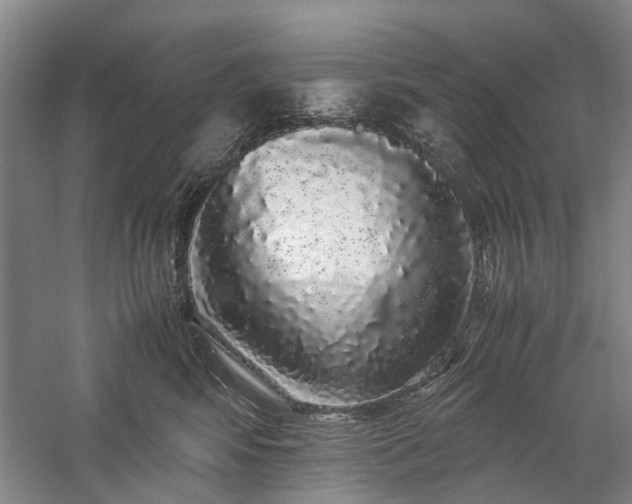 X0000060260424200510281210