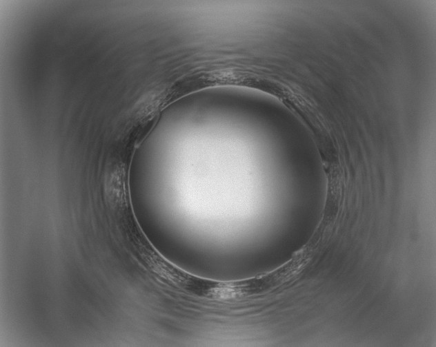 X0000060260425200510281210