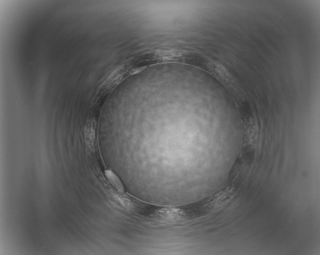 X0000060260427200510281210