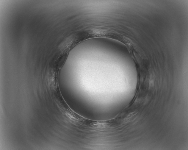 X0000060260428200510281210