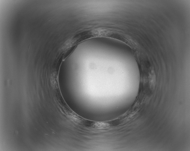 X0000060260429200510281210