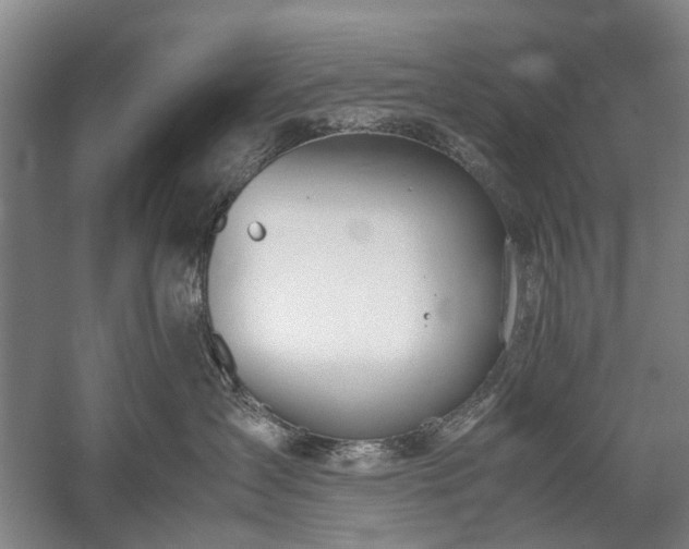 X0000060260431200510281210