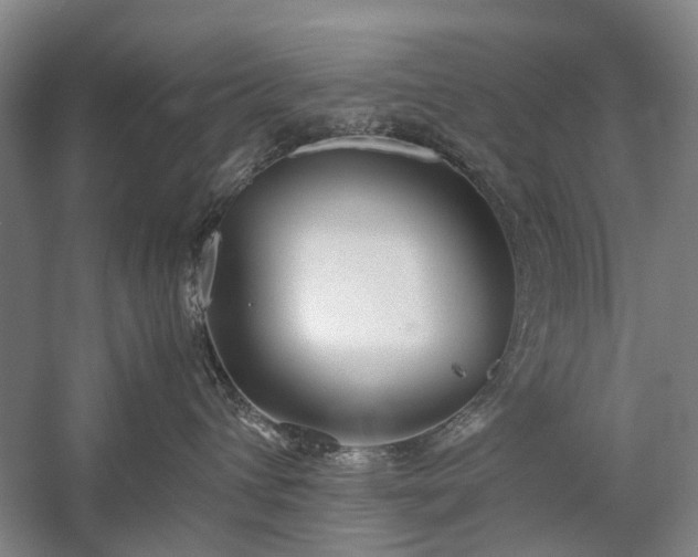 X0000060260432200510281210