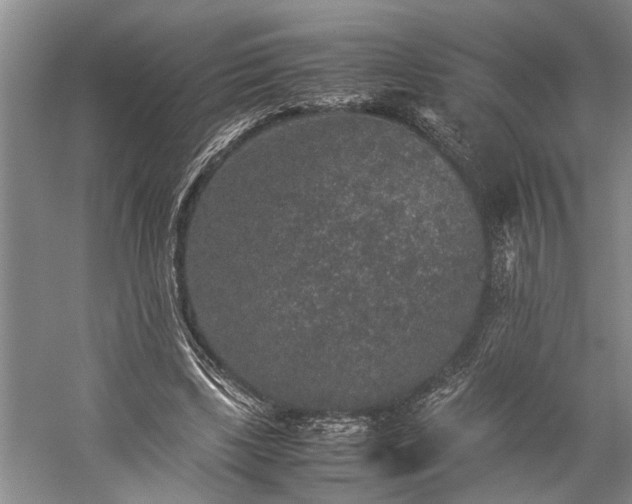 X0000060260443200510281210