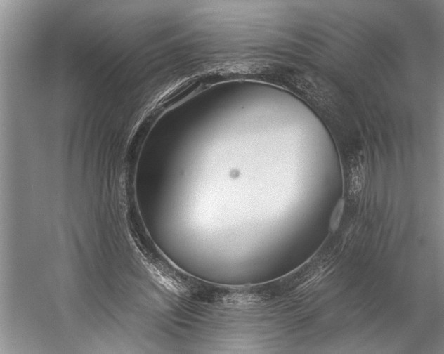 X0000060260444200510281210