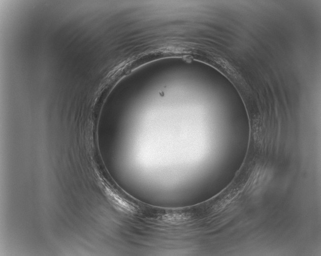 X0000060260445200510281210