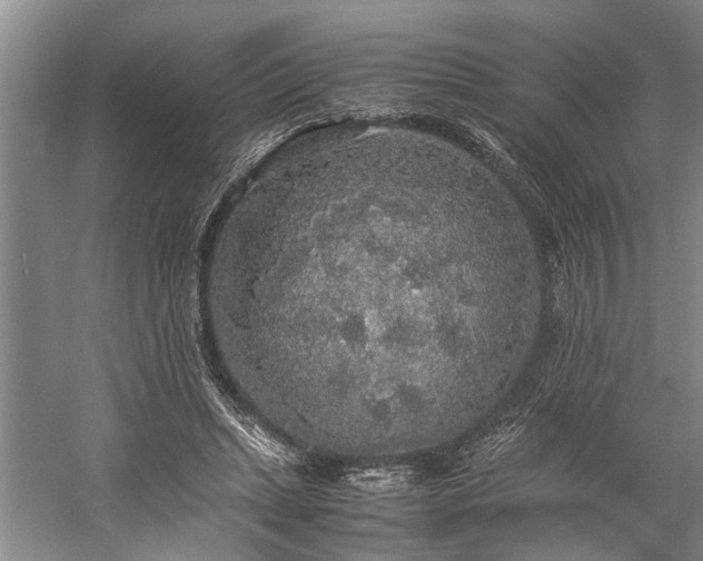 X0000060260447200510281210