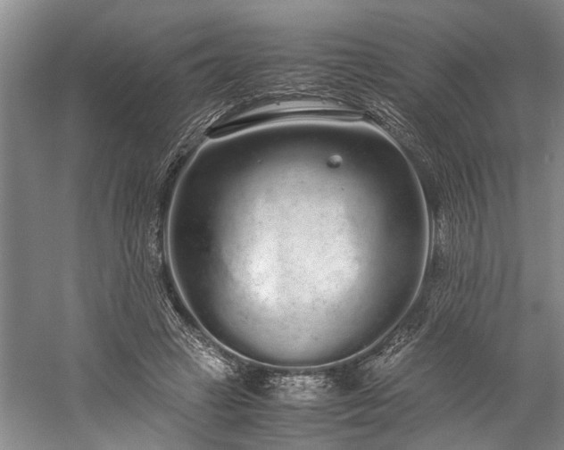 X0000060260449200510281210