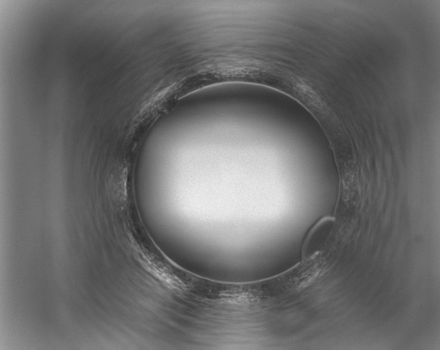 X0000060260454200510281210