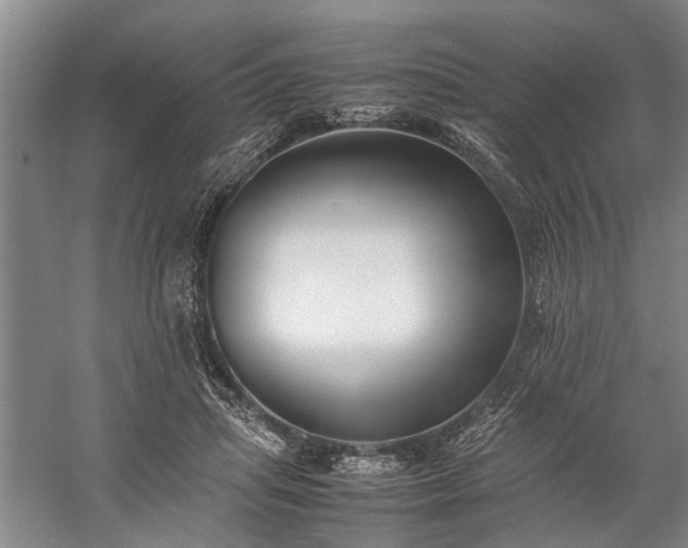 X0000060260455200510281210