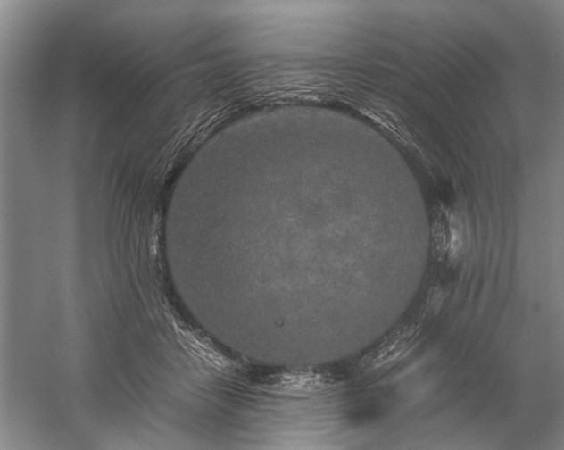 X0000060260458200510281210