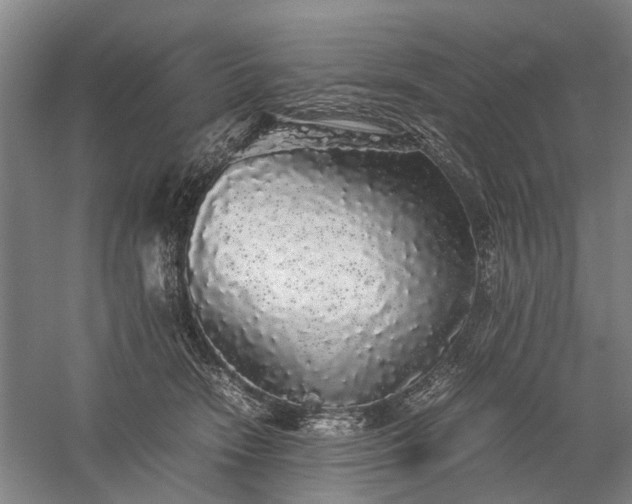 X0000060260466200510281210