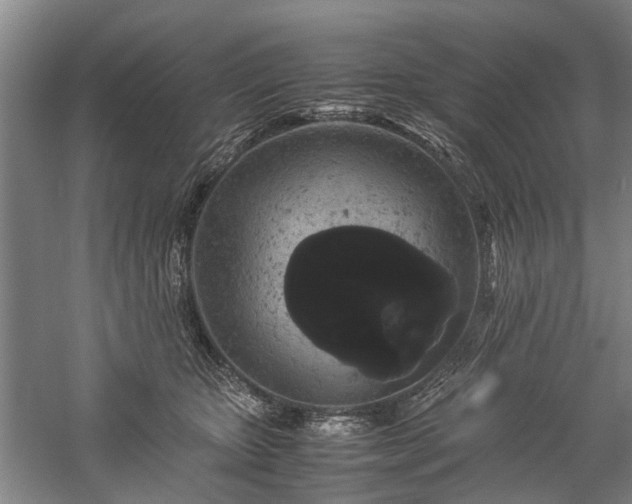 X0000060260467200510281210