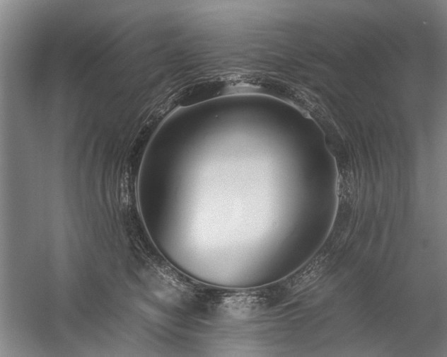 X0000060260470200510281210