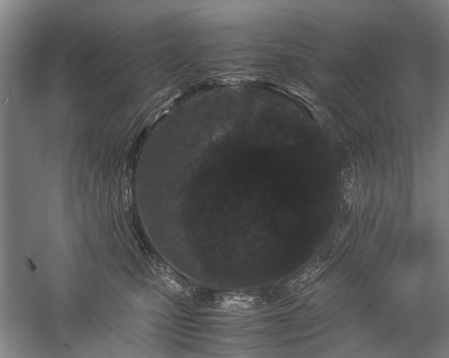 X0000060260471200510281210