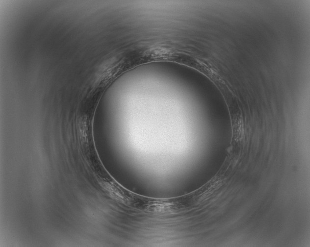 X0000060260472200510281210