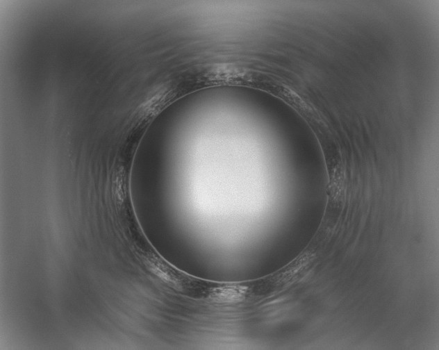 X0000060260474200510281210