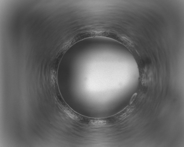 X0000060260476200510281210