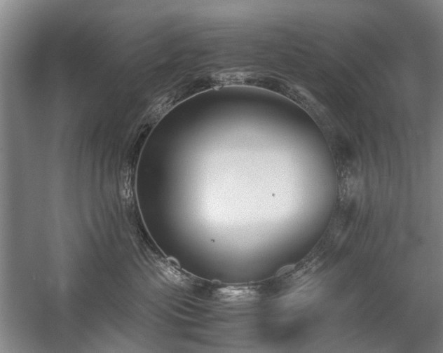 X0000060260477200510281210