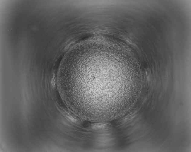 X0000060260479200510281210