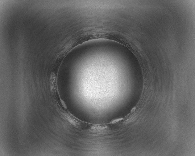 X0000060260480200510281210