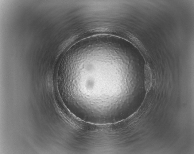 X0000060260482200510281209