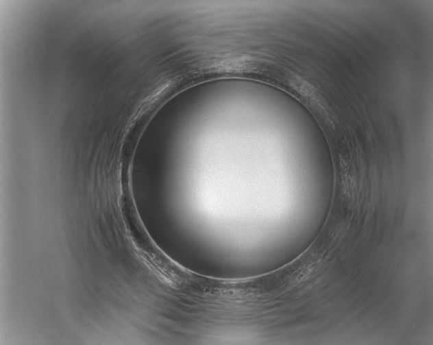 X0000060260486200510281209