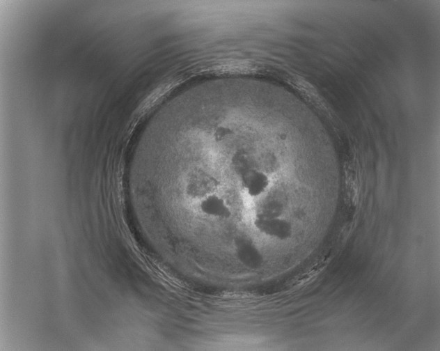 X0000060260487200510281209