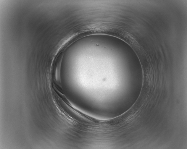 X0000060260488200510281209