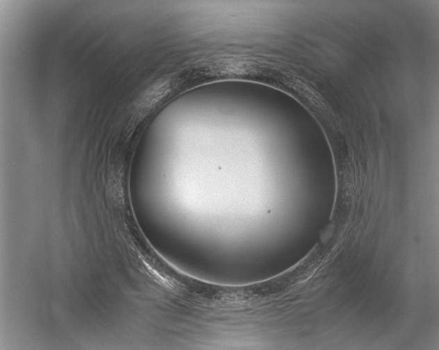 X0000060260489200510281209