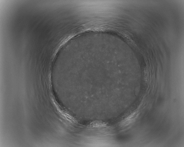 X0000060260491200510281209