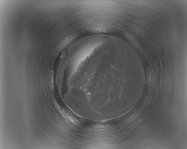 X0000060260494200510281209