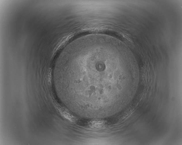 X0000060260495200510281209