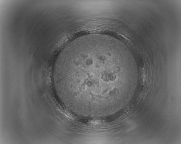 X0000060260499200510281209