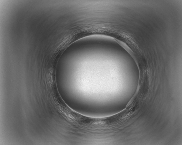 X0000060260501200510281209