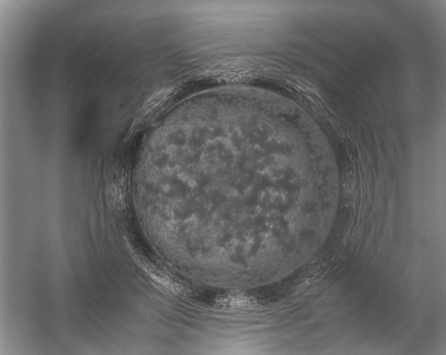 X0000060260503200510281209