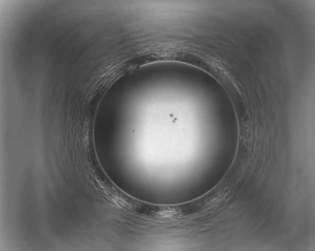 X0000060260505200510281209