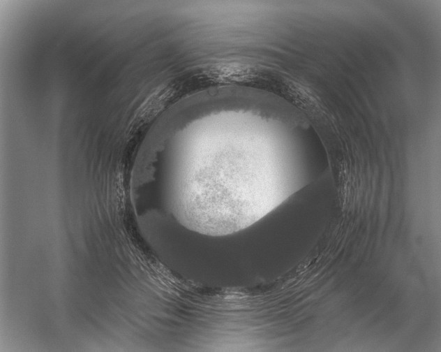 X0000060260506200510281209