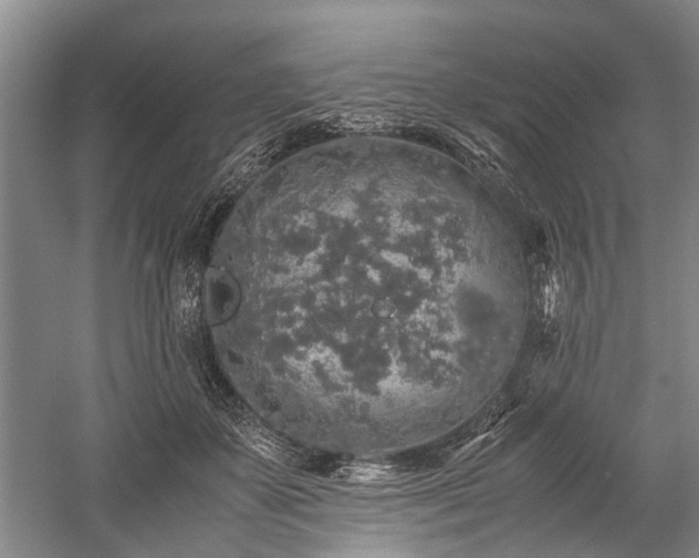 X0000060260507200510281209