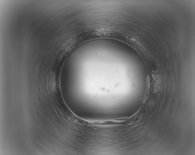 X0000060260508200510281209