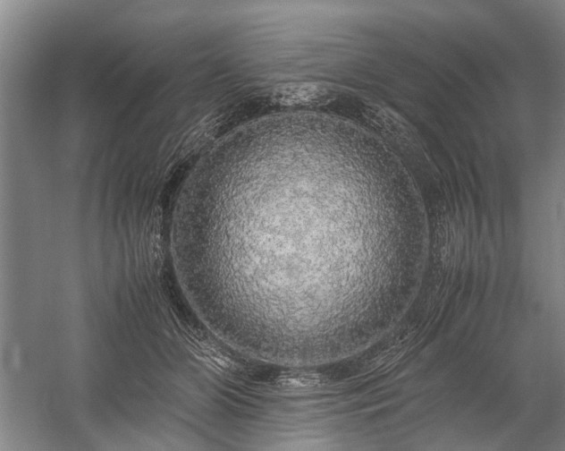 X0000060260510200510281209