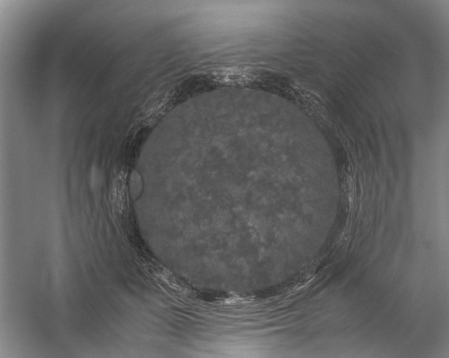 X0000060260511200510281209